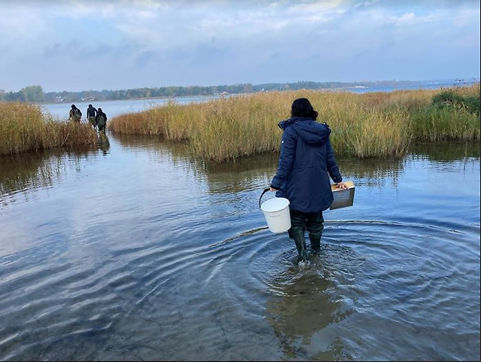 Elever samlar prover i havet på Gotland
